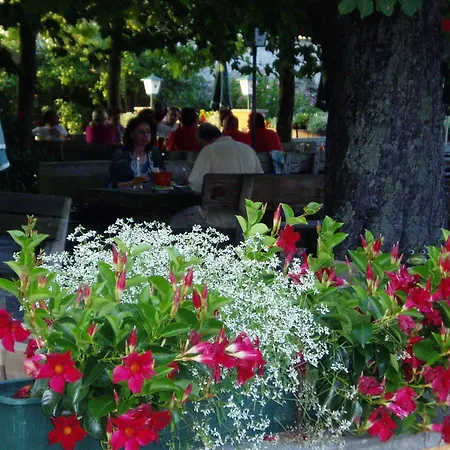 בית הארחה Marienhof 3*